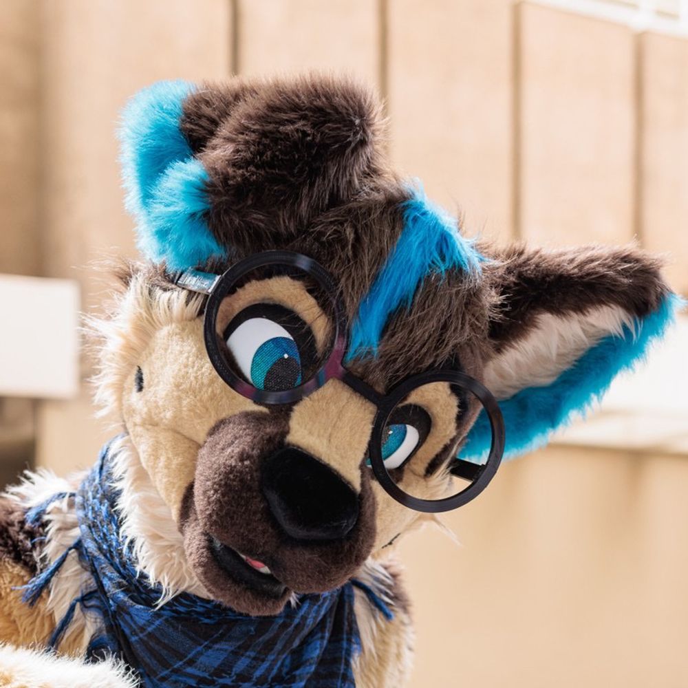 AekoShep 🔜 Megaplex