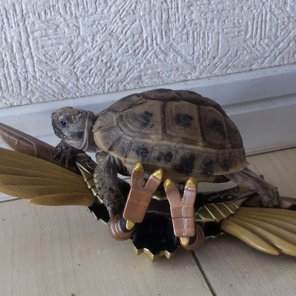 傘化け