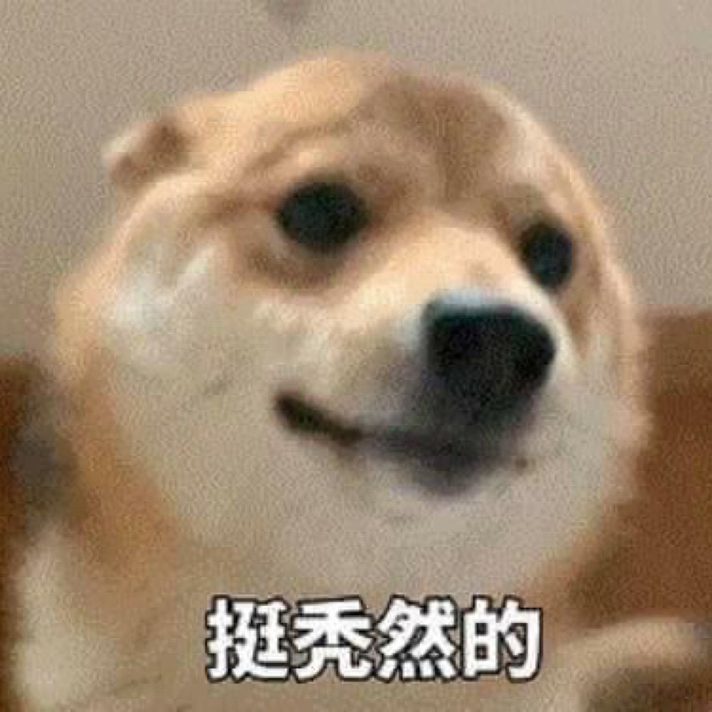 犬太