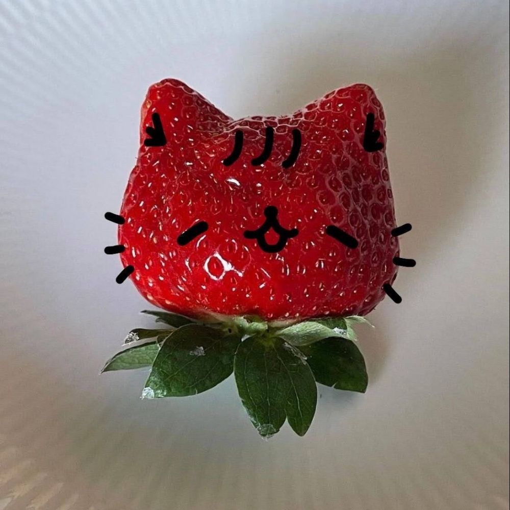 '.ㅅ' quel 🍉 