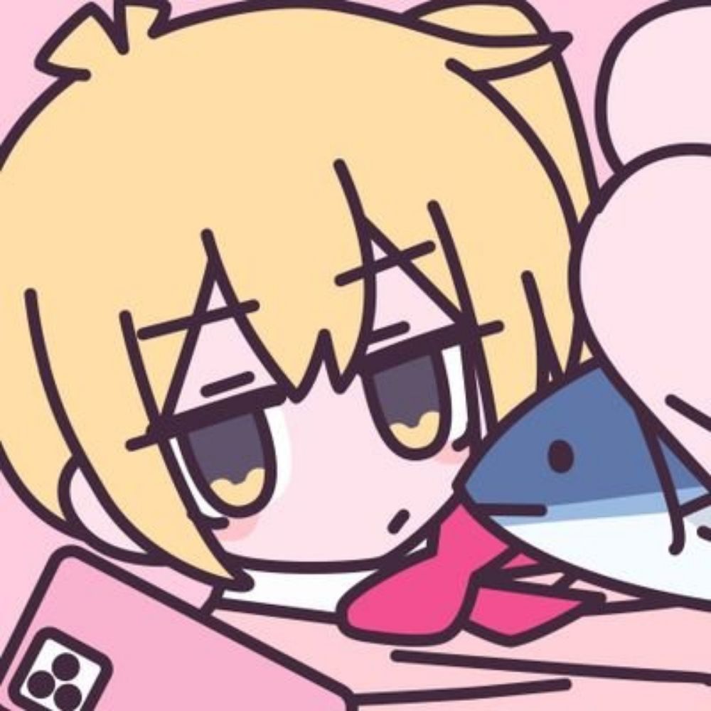 rin.iso