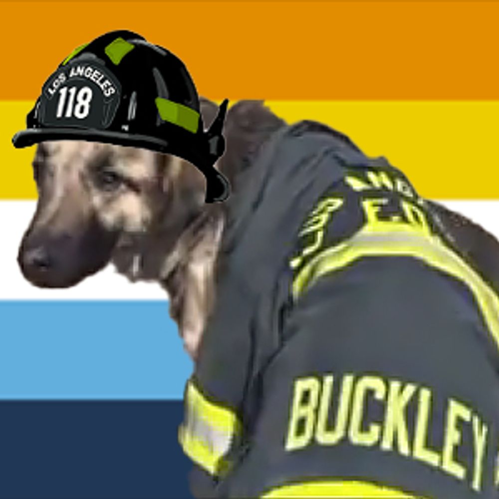 Kaz (The Real Bark Barkley)