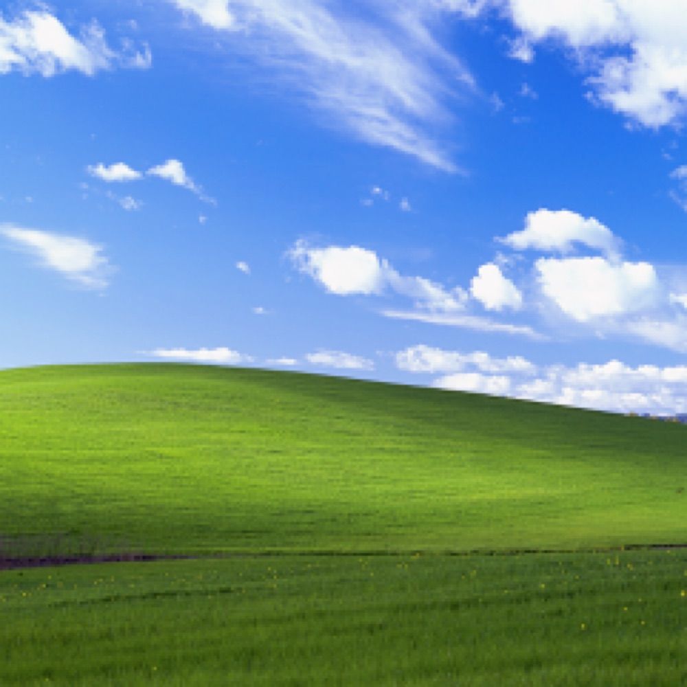 grass touching