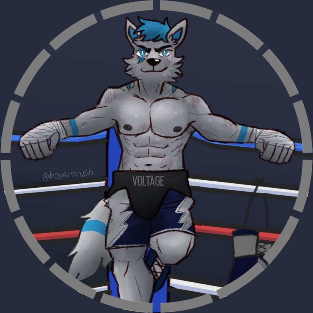 Voltage Husky⚡️