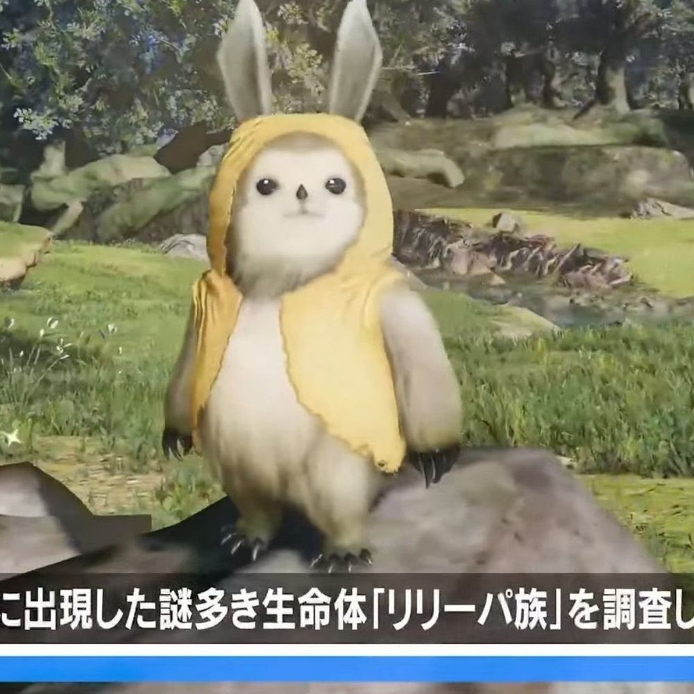 ヒカリの妹