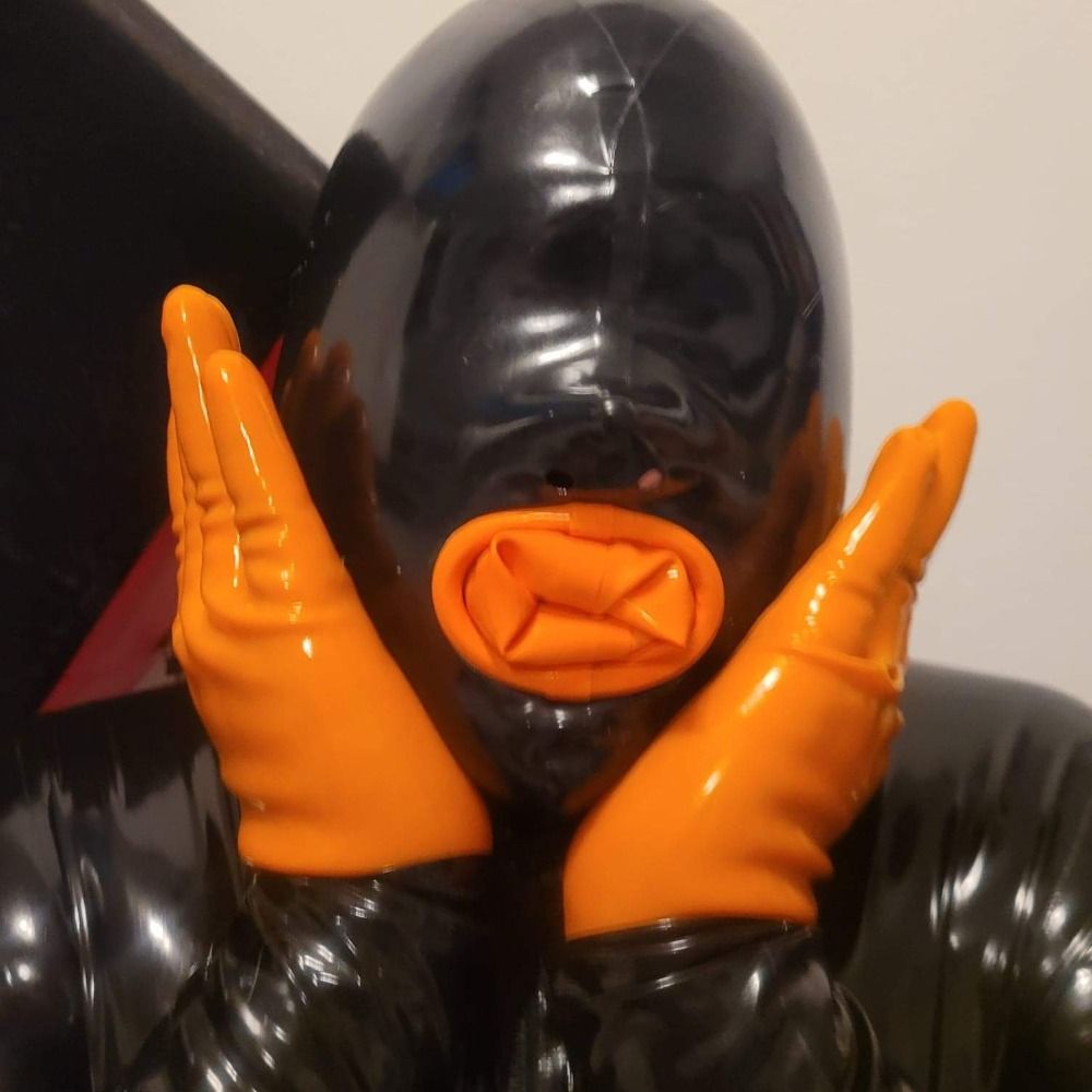 AxelGilligan/EncasementPig