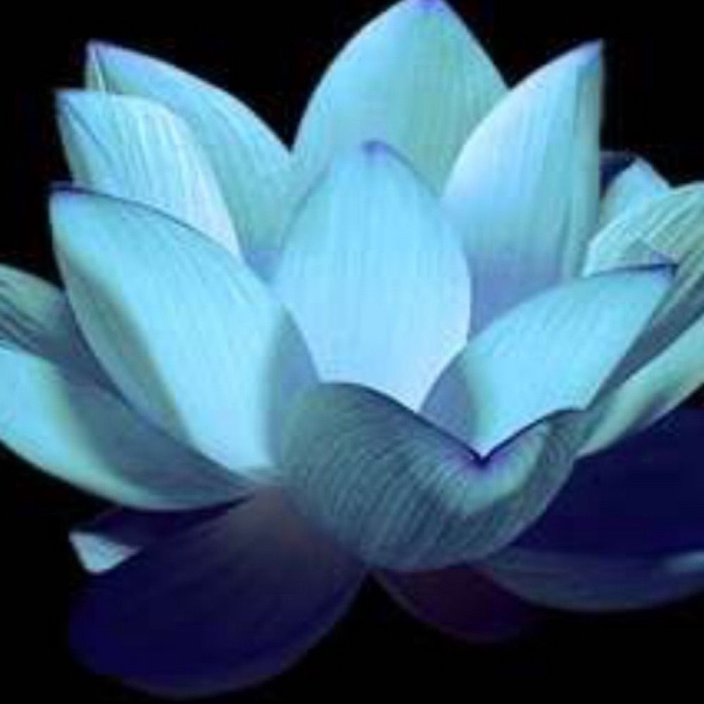 Dhammadinna
