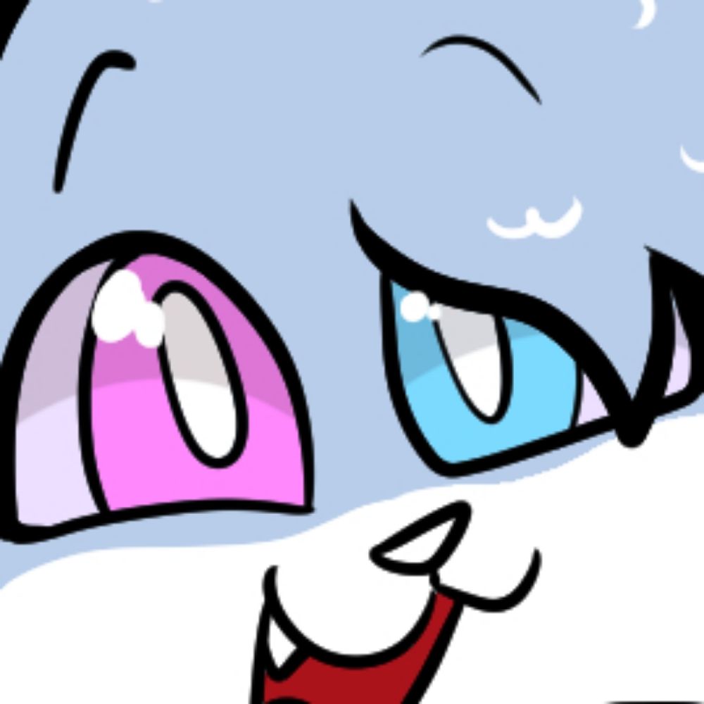 yomithecatshark