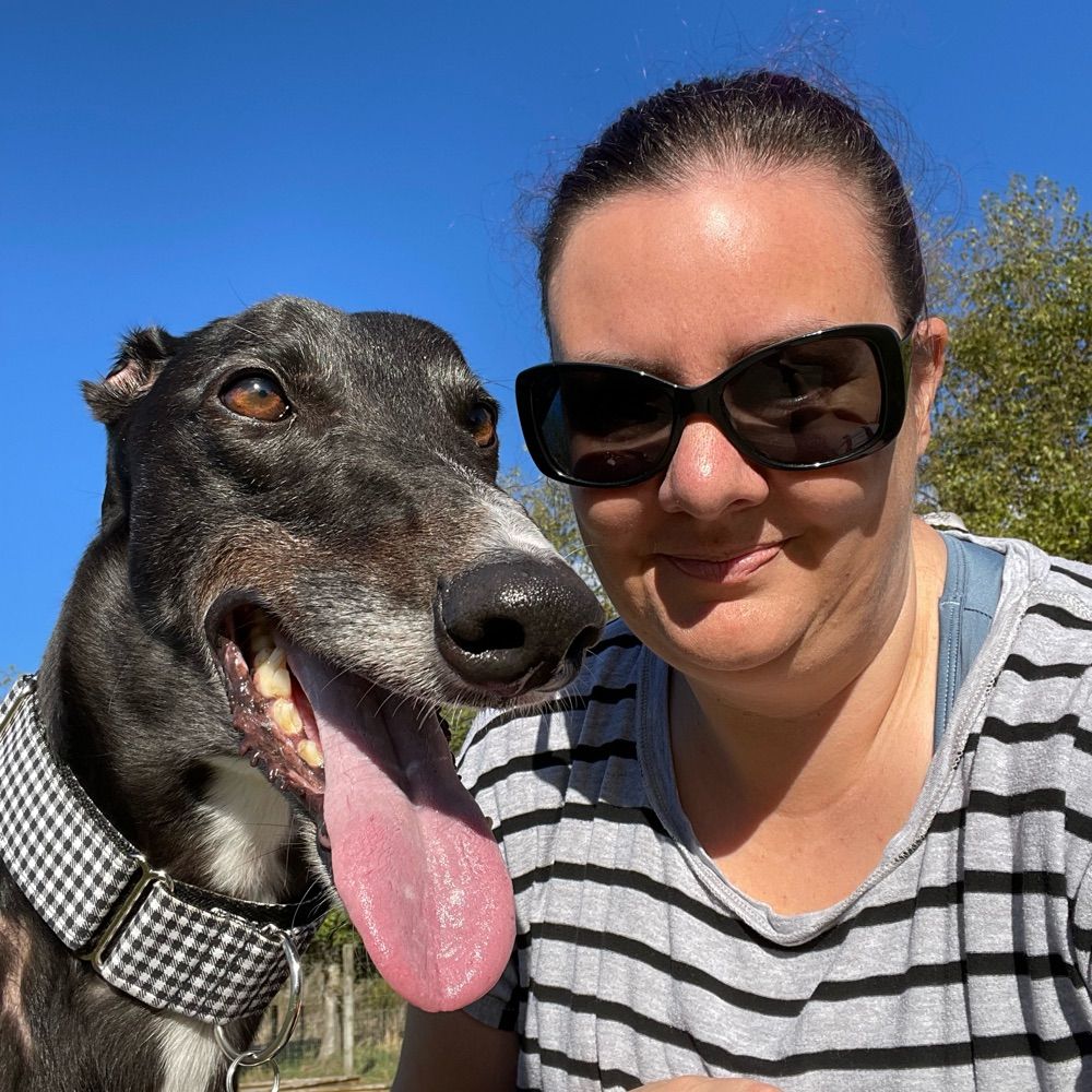 Cooper the greyhound