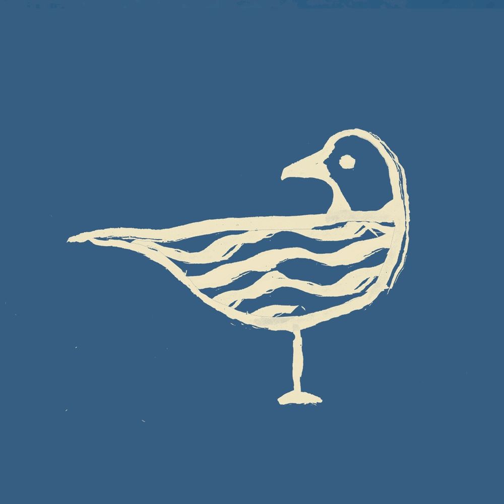 The Seagull