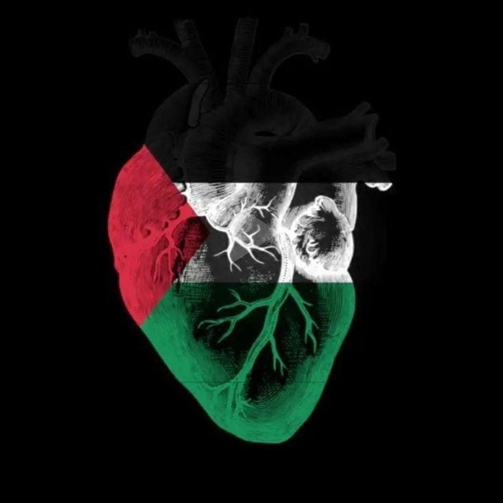 Free Gaza 🇵🇸