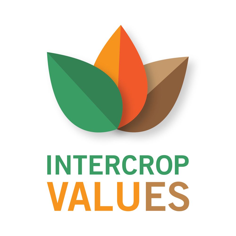 IntercropVALUES