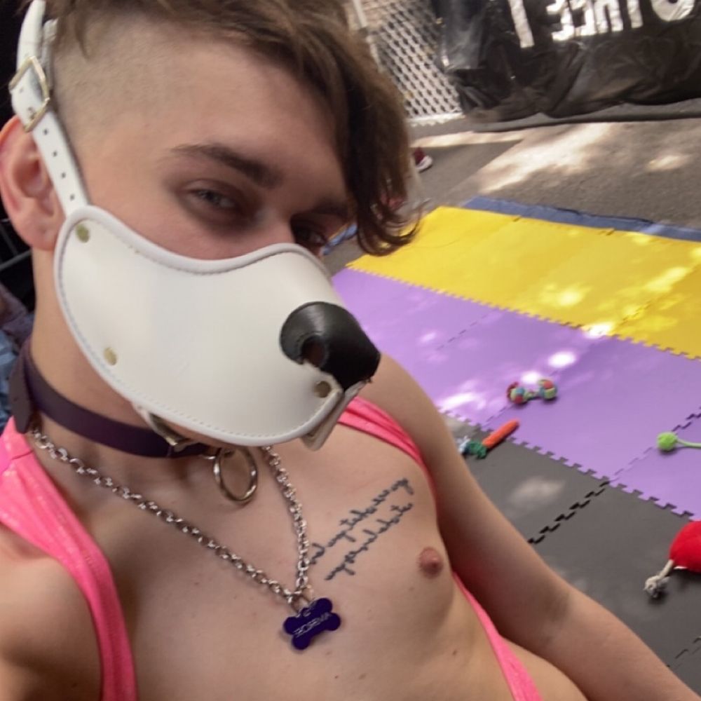 Pup Ambrose