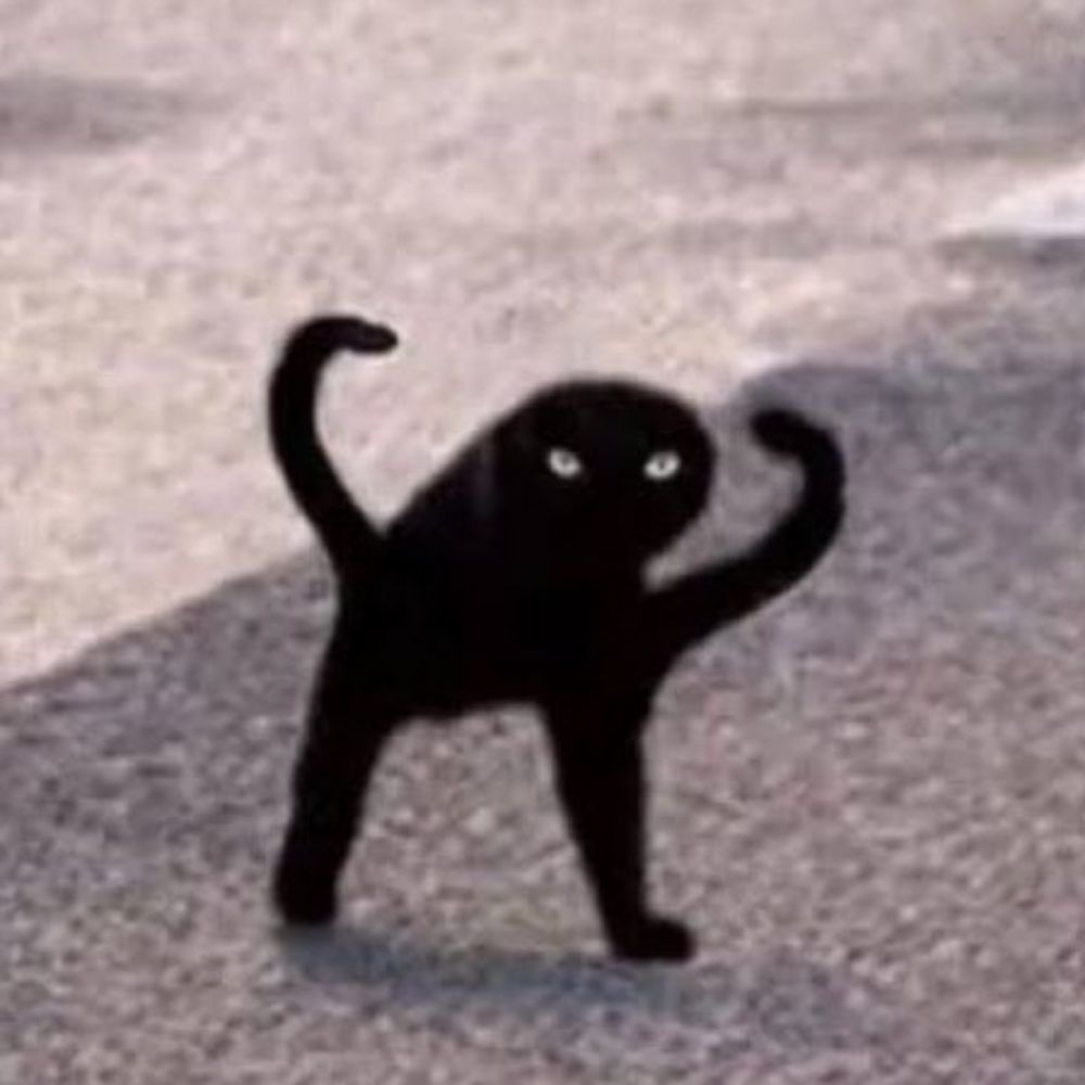 장박지