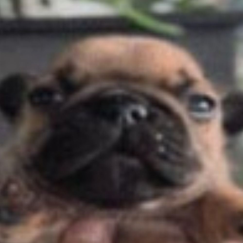 EebyDeeby