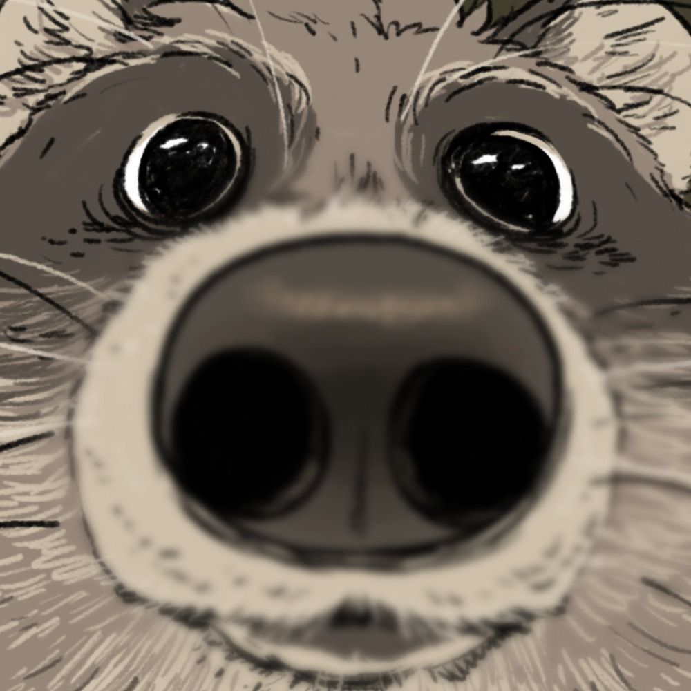 GuaxRaccoon