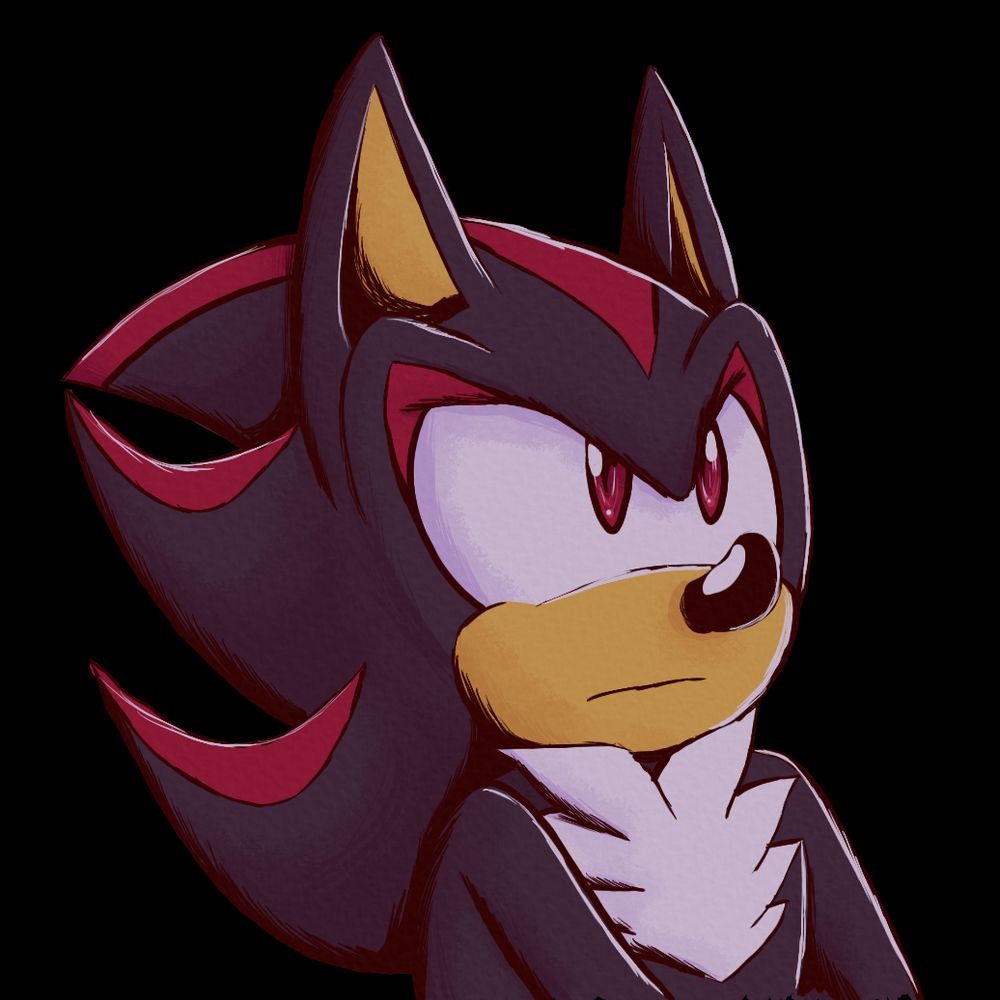 Sonic Remix