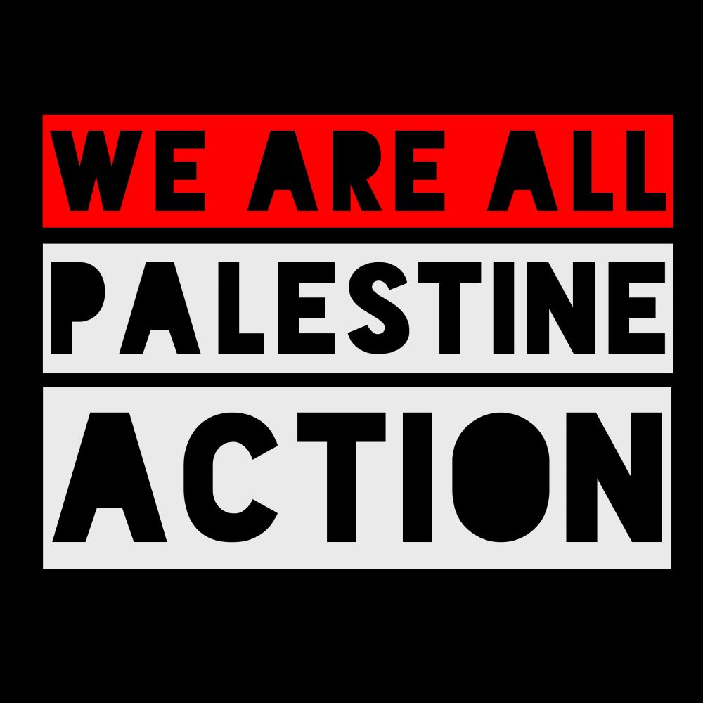 Abolition Strategies: police, bail, cages, borders