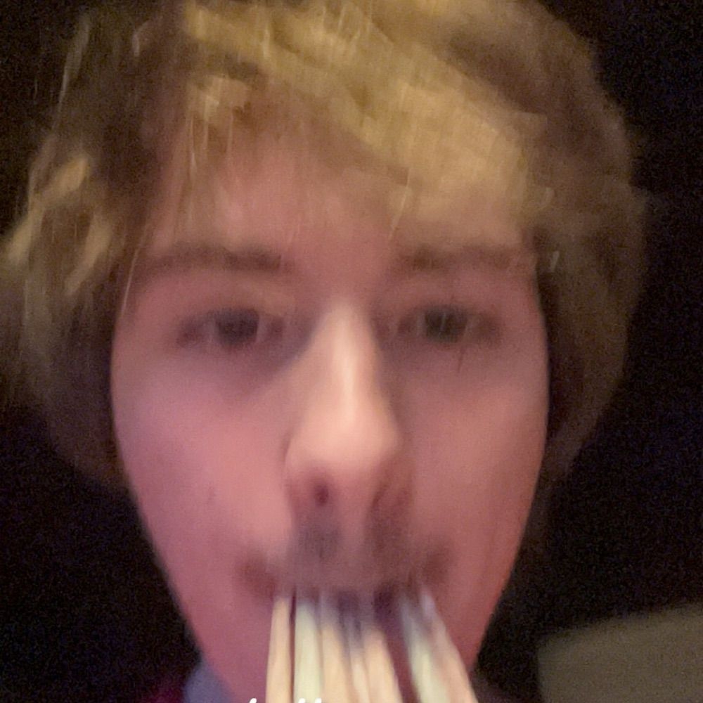 hoodi