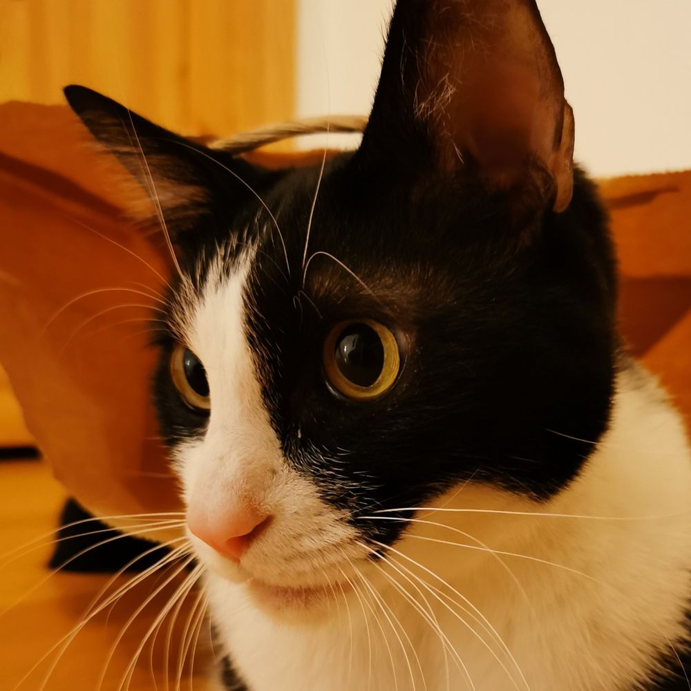 ほいーる（Wheel_22）