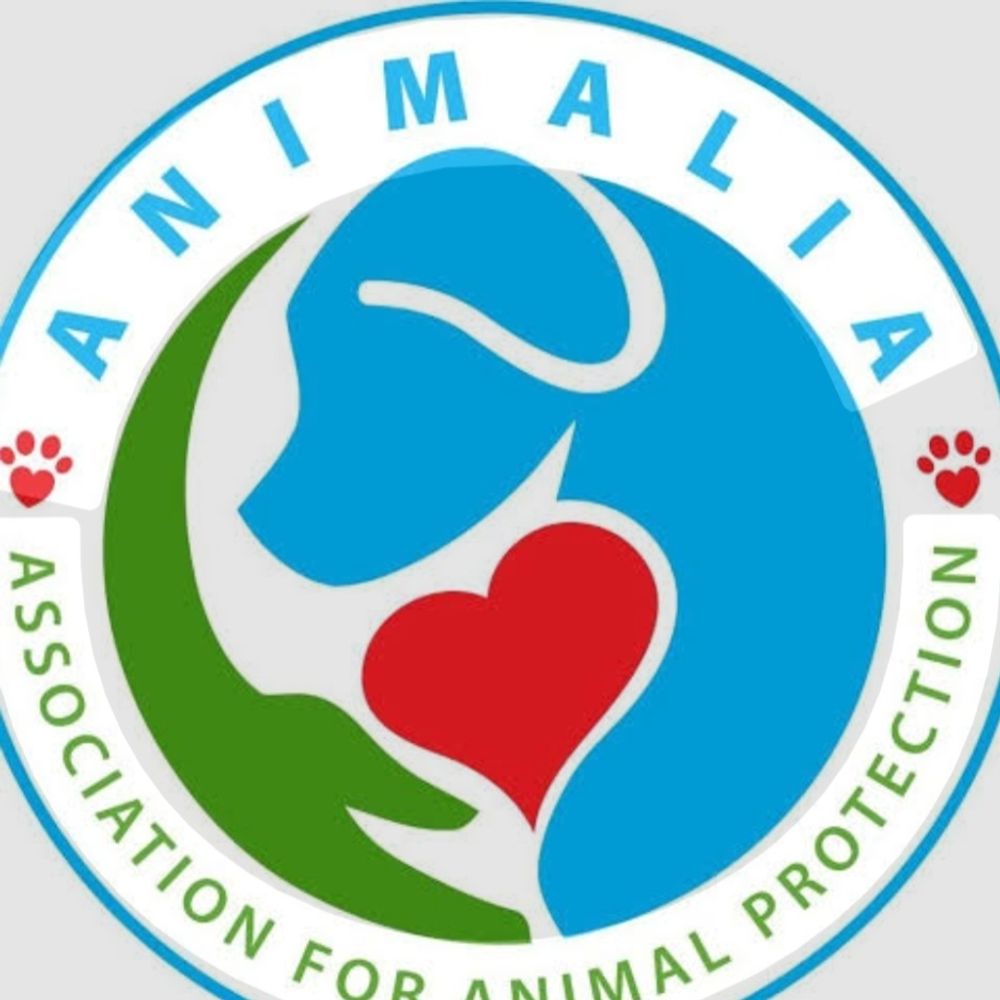 Animalia rescue organisation