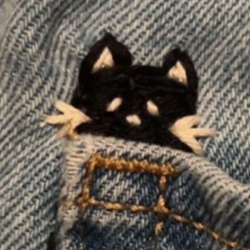 🐾