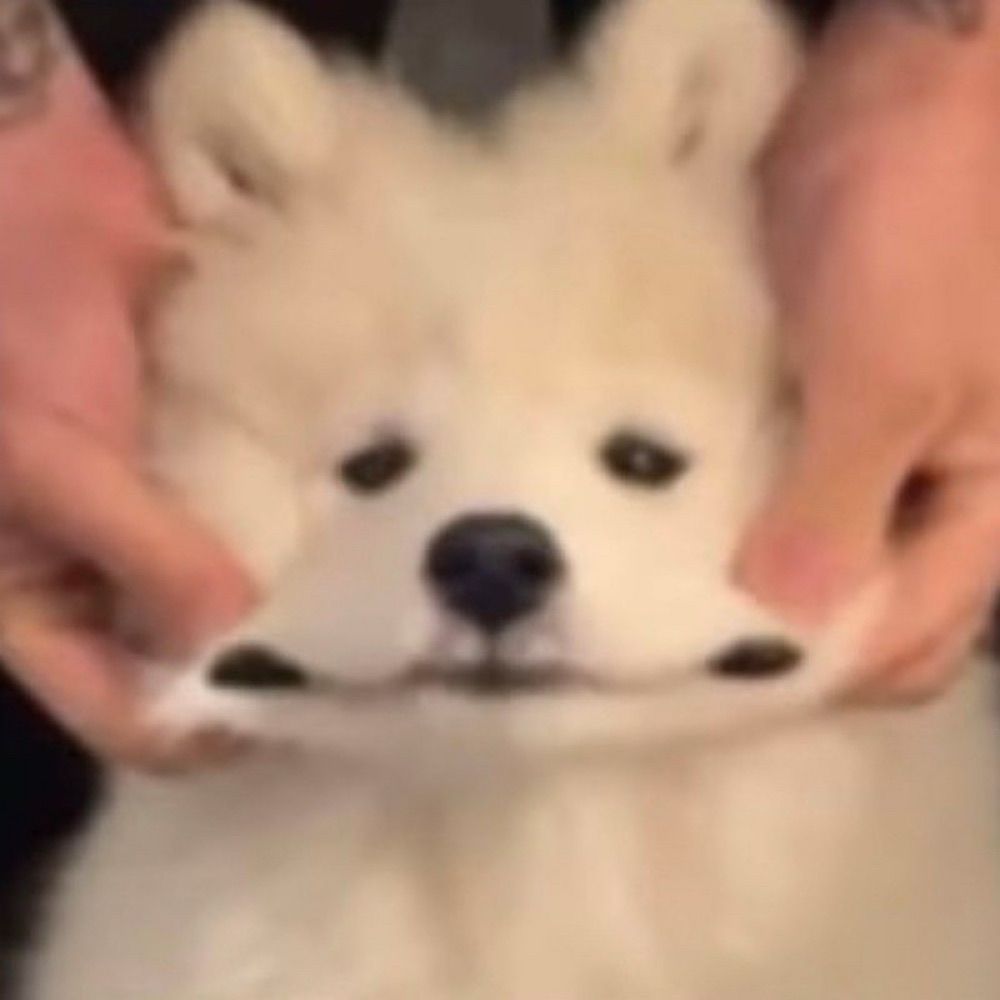 ૮₍ ´• ˕ • ₎ა