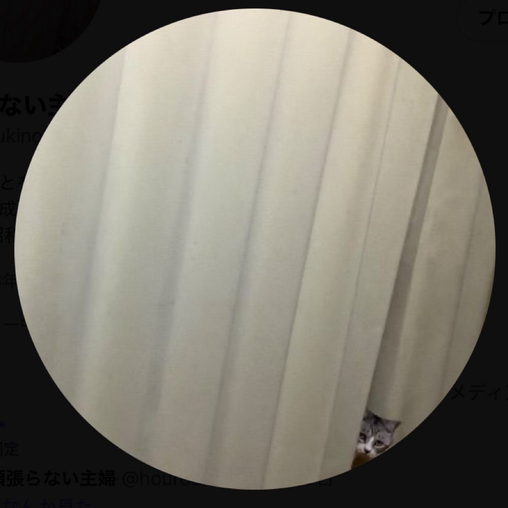 User avatar