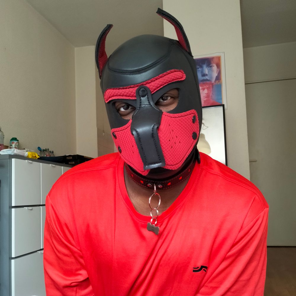 pup Taka 🏳️‍🌈🏳️‍⚧️🇨🇵
