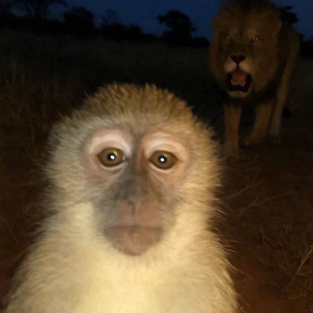 qazwsxqazwsx.bsky.social