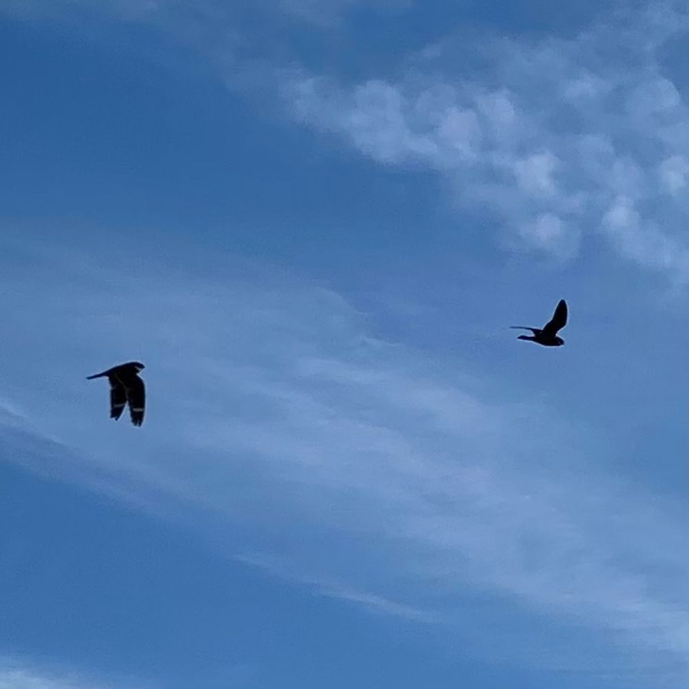 ‎ 