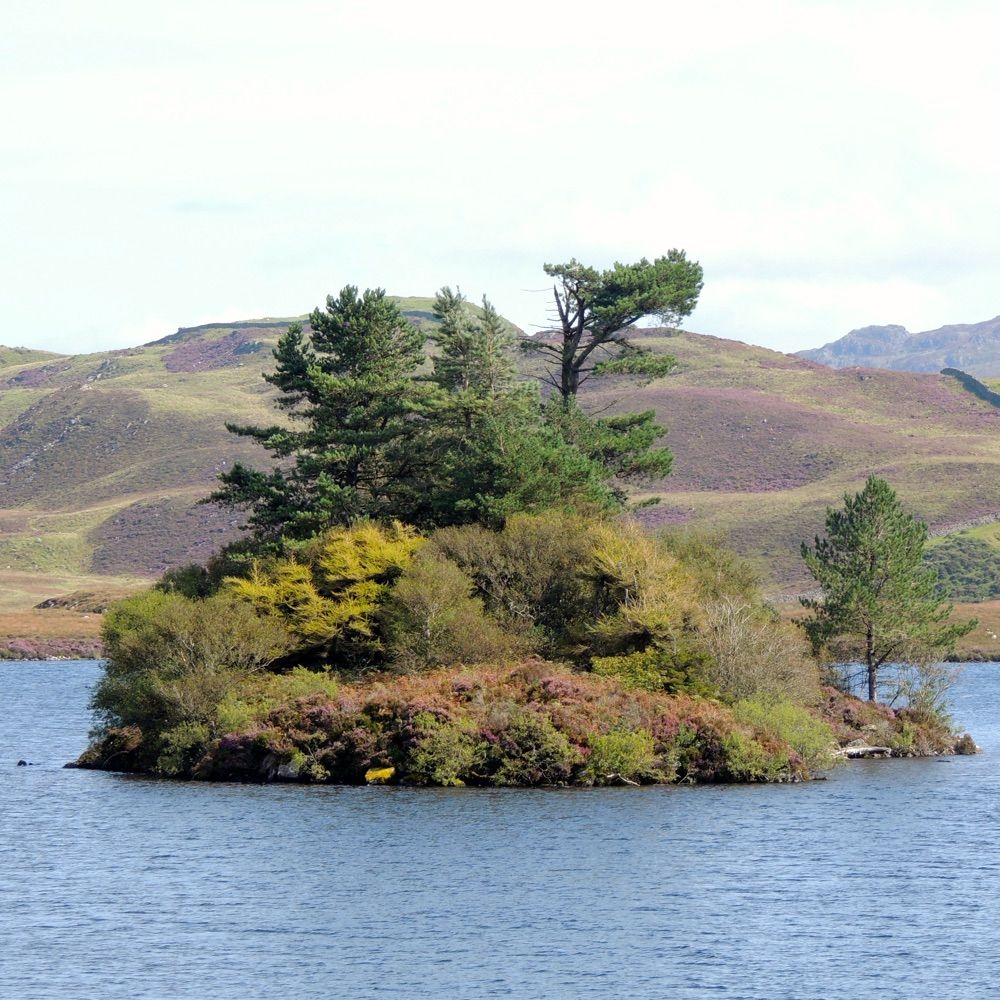 Snowdonia