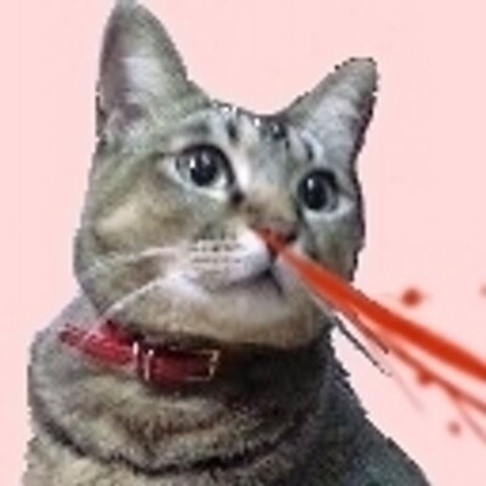 HNDNKO