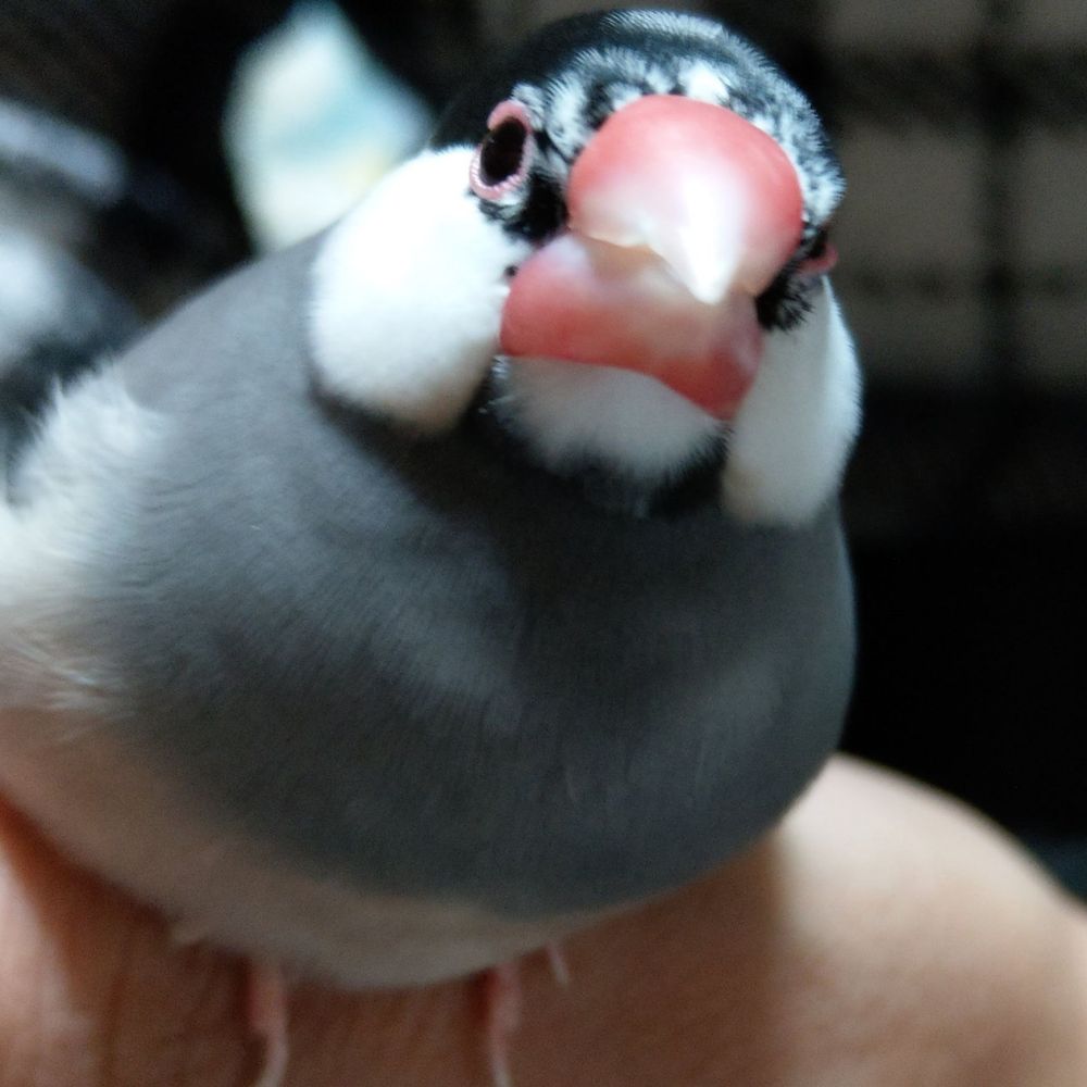 りるねぇ