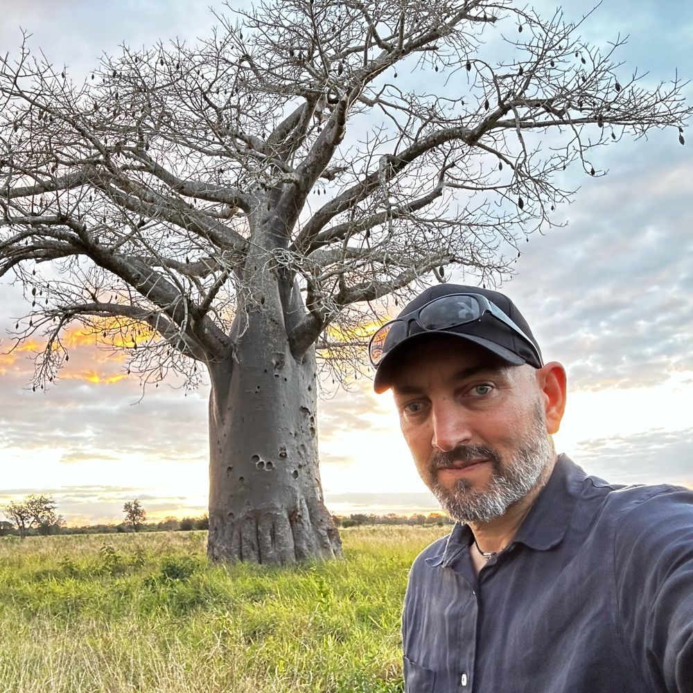 David Fontseca Romanos