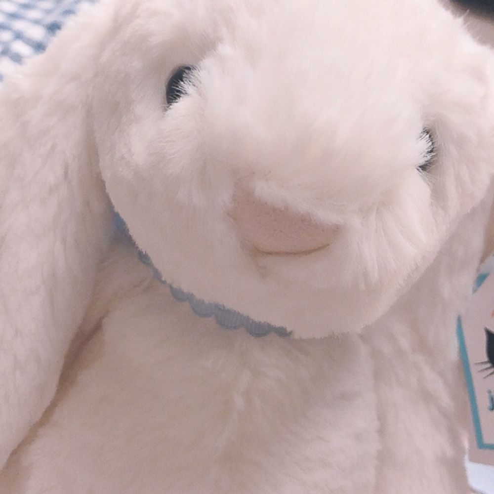 小田原👾💤