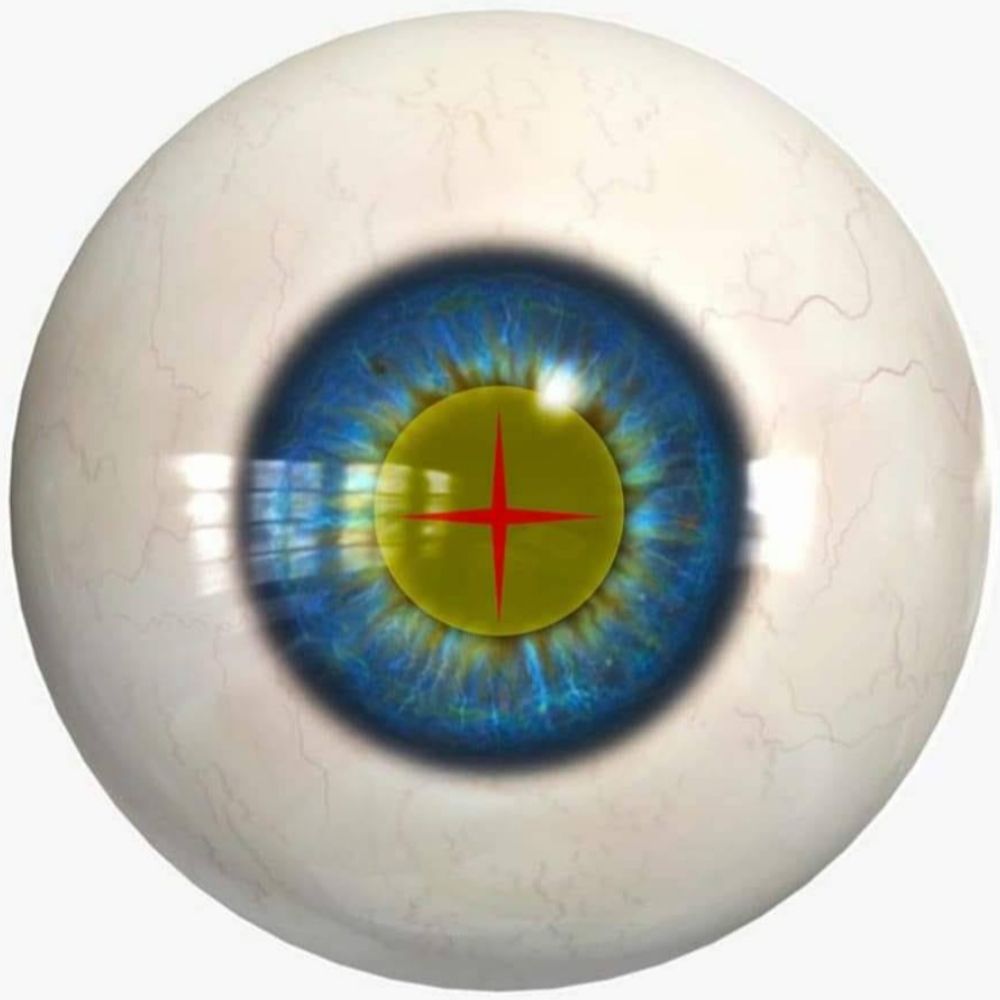 theobserversua.bsky.social