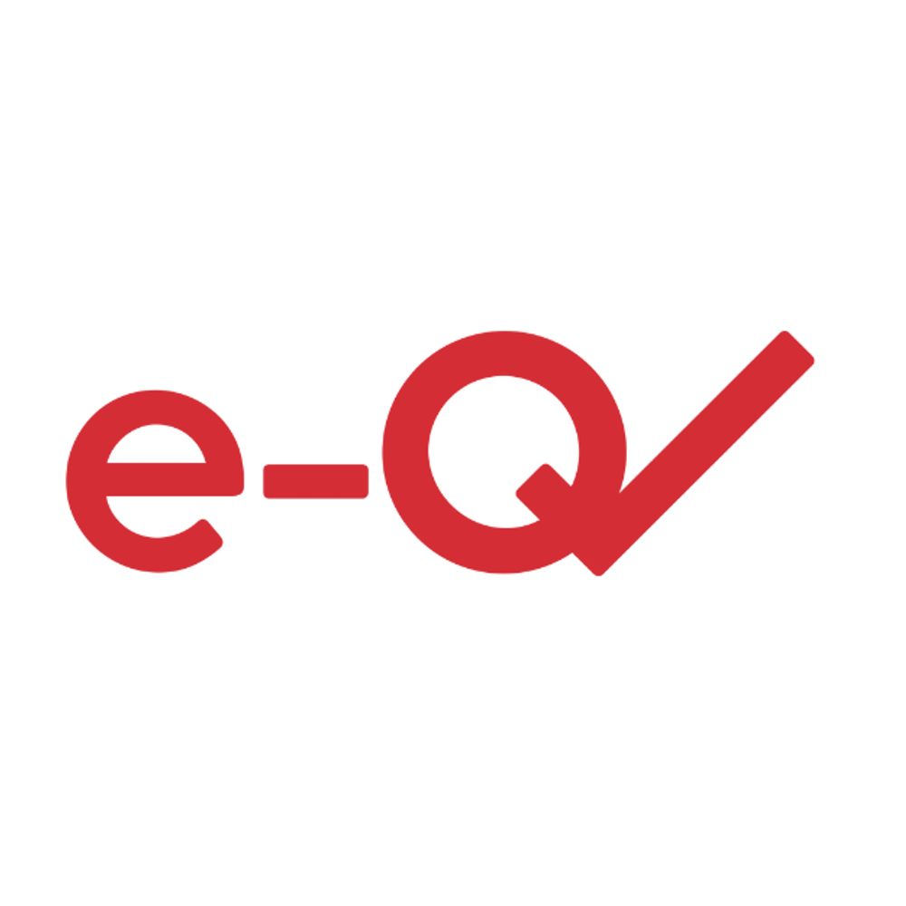 e-Qualitas Teacher Training