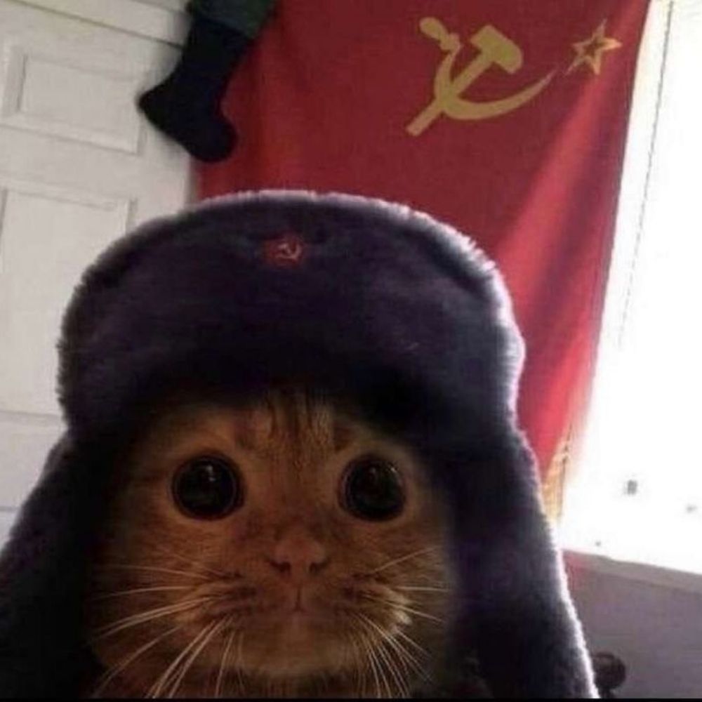 Kin & Comrades