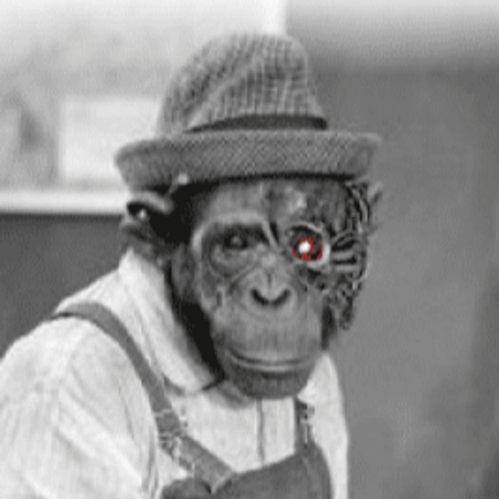 RobotChimp