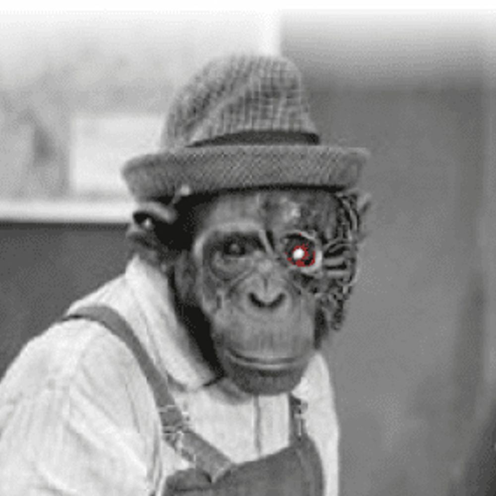 RobotChimp