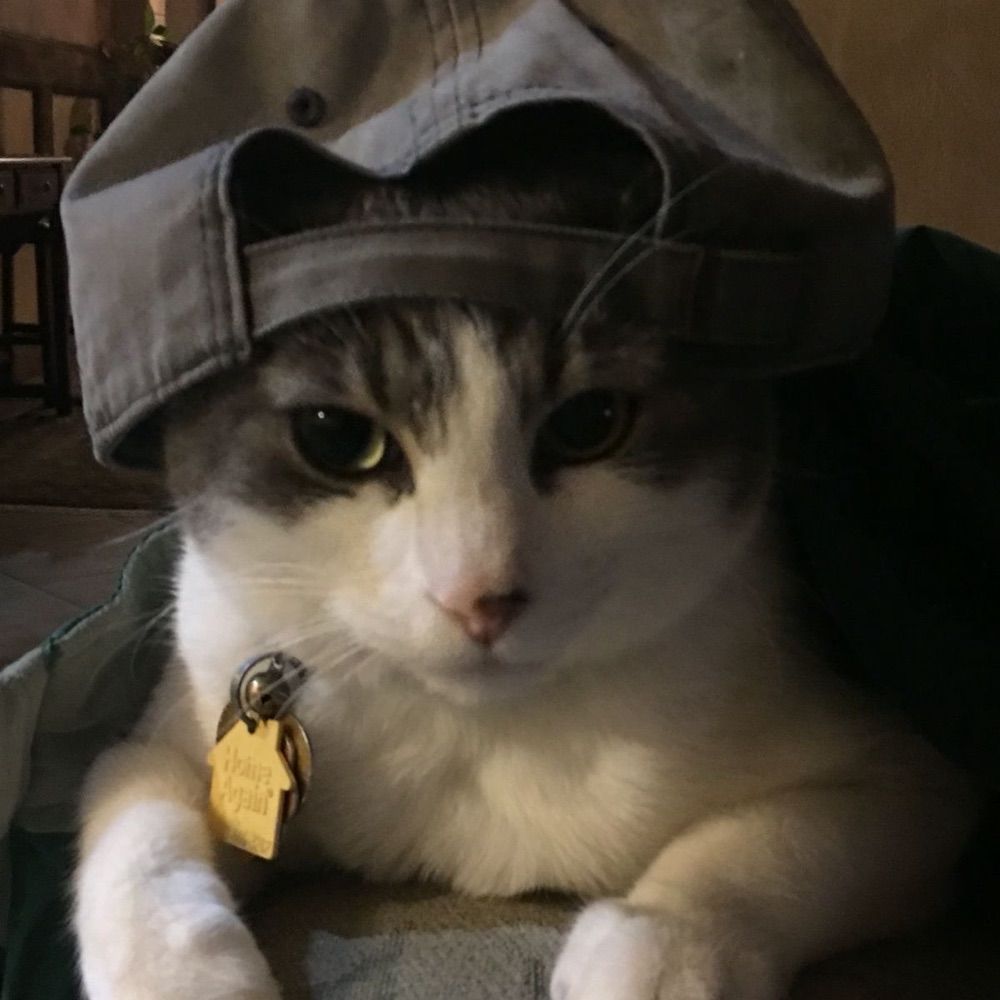 오칠