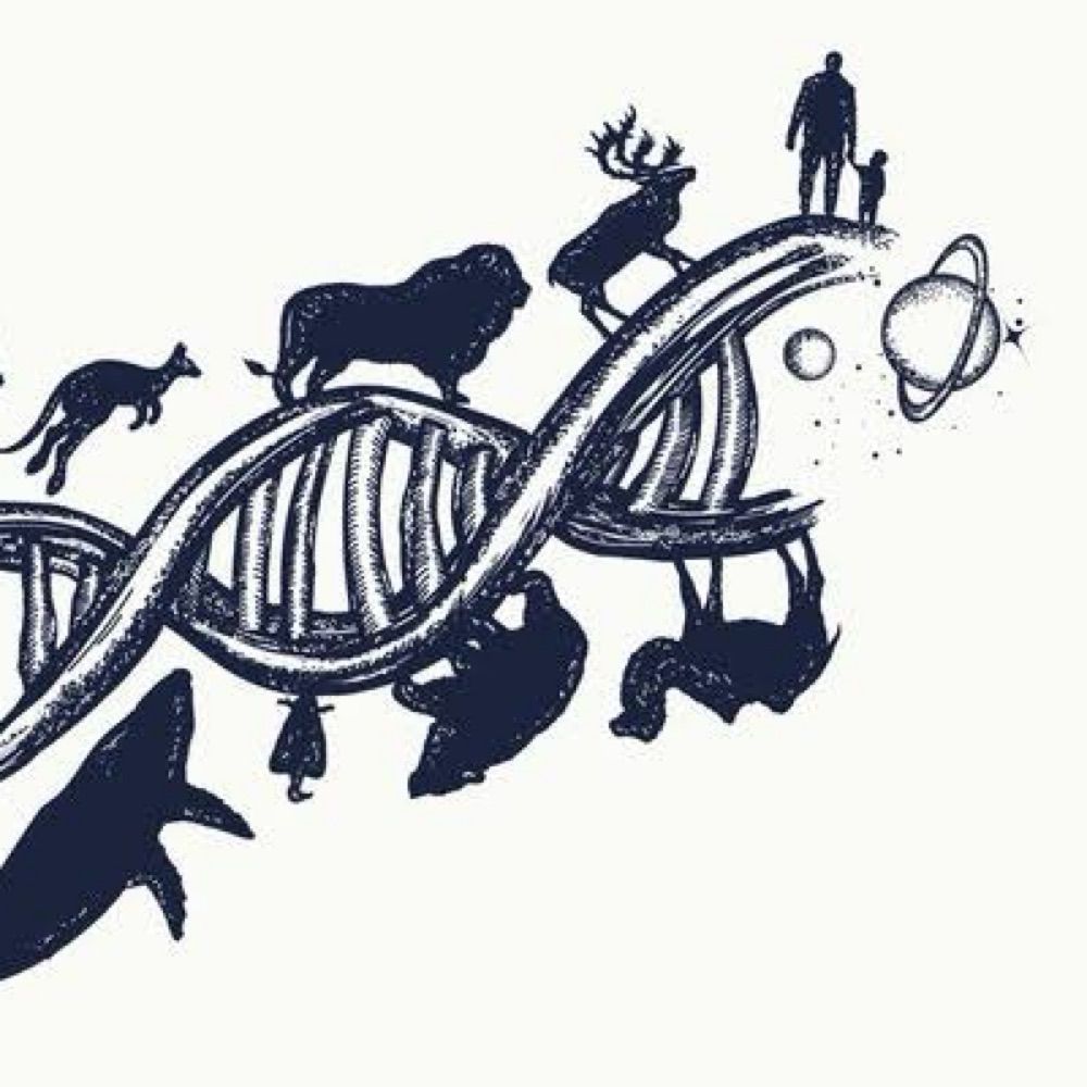 The DNA Lab