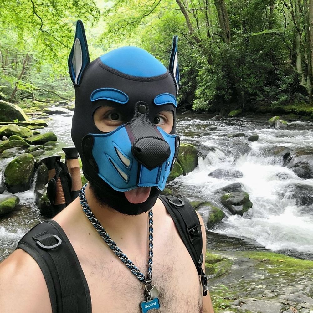 Pup Skysoar