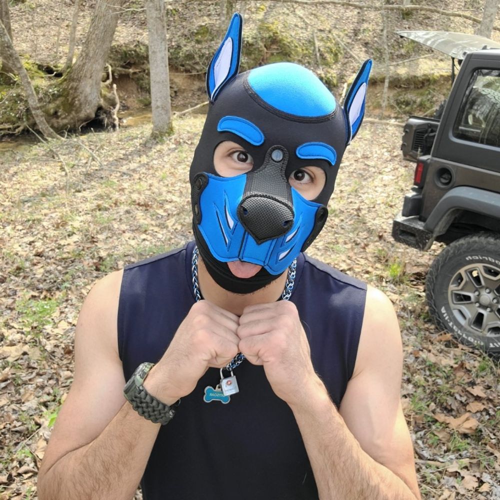 Pup Skysoar's avatar