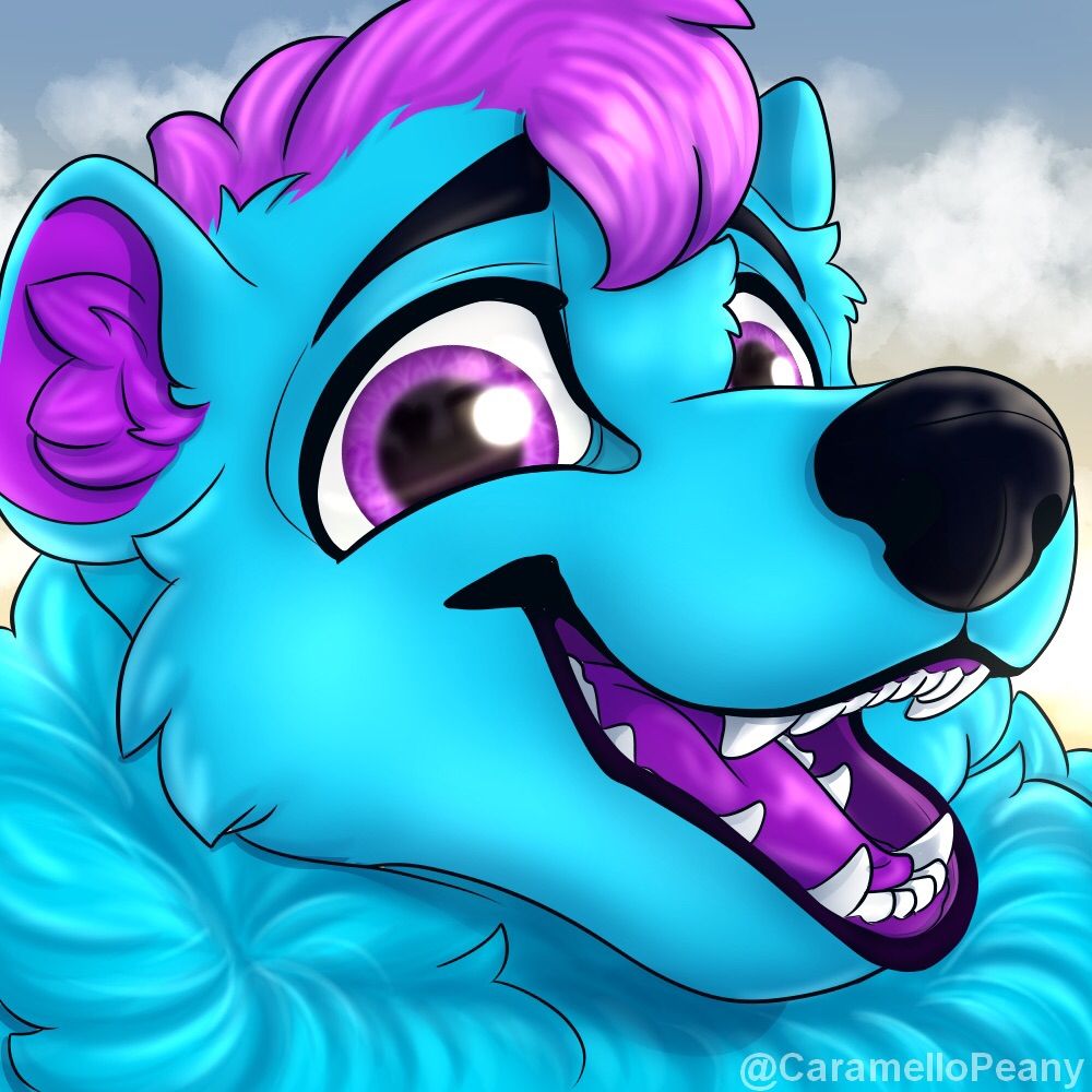 BazoTheBear