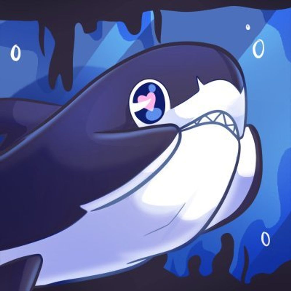 Just a Shark🦈