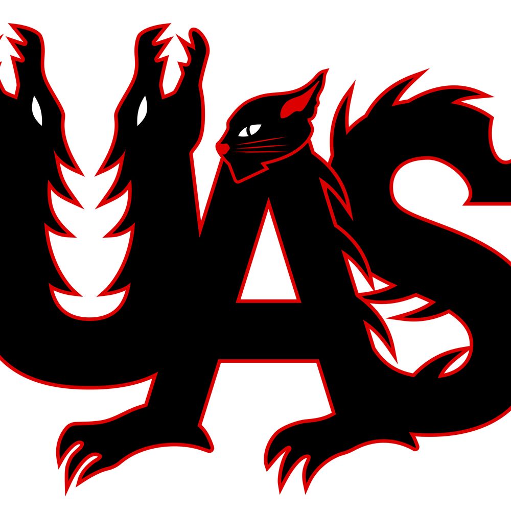 Unexpected Aspect Studios