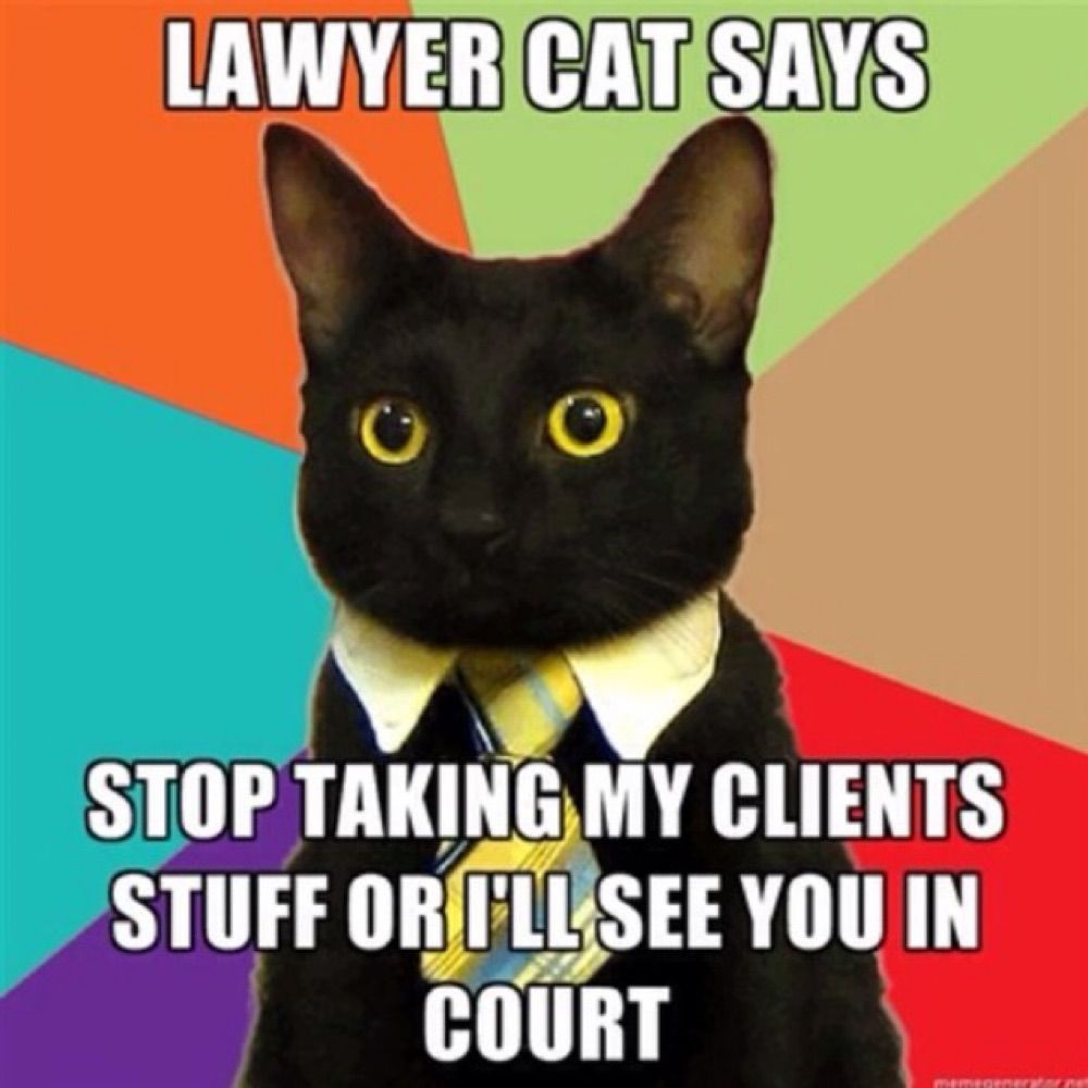 Lawyer Cat*