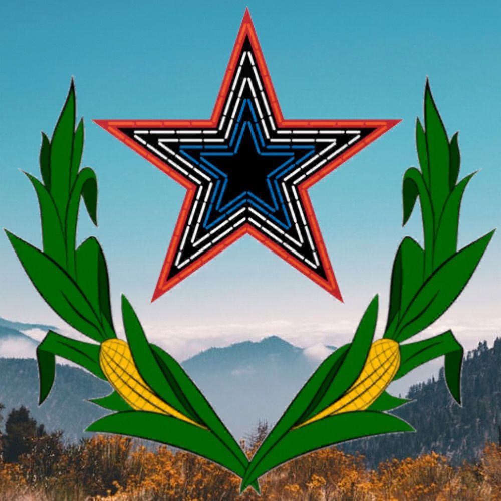 Roanoke Marxist ⚙️⚒️